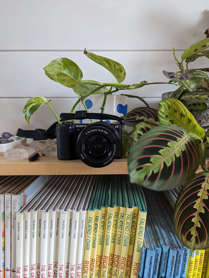 Two photos of a digital camera pointing at us, on a bookshelf, surrounded by plants. In the left hand photo, the shutter is open, but we can't see what the image is. In the right hand photo, the view screen has been flipped up, so now we can see what the image is.
