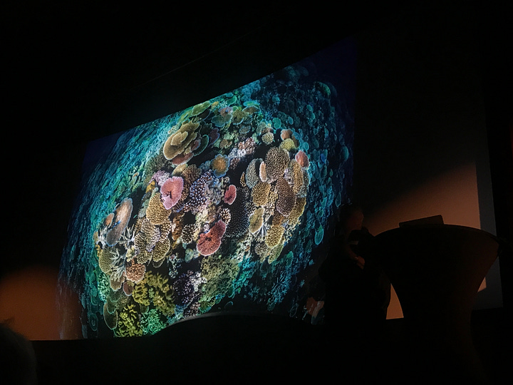 Photographs of Opal Reef in Australia taken a decade apart by David Doubilet & Jennifer Hayes