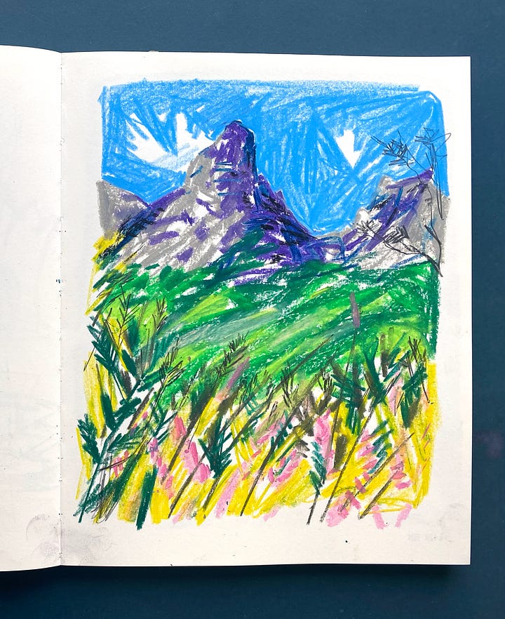 A selection of oil pastel drawings in a sketch book. Bold, vibrant colours and expressive marks.