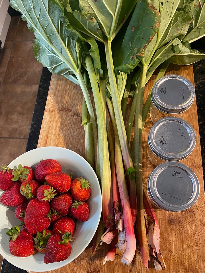 Rhubarb stalks and leaves on a wooden board.