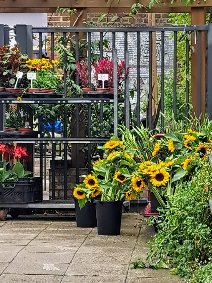 Notting Hill farmers market, cherries, sunflowers, currants, vegetables