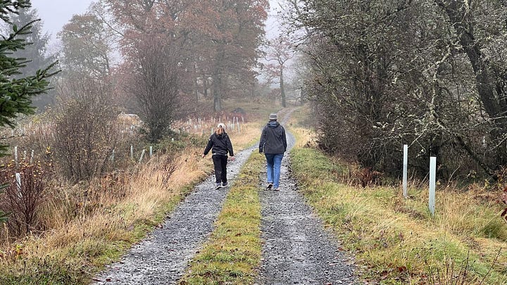 Second kist close to the Glen Trool Visitors Centre