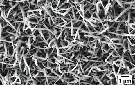 Growing Silicon Nanowires on Copper Substrate at Low Temperature