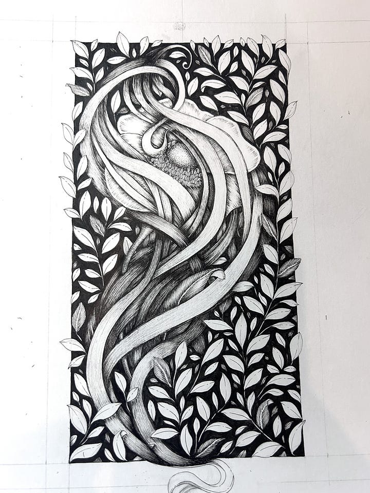 Fineliner pen and ink | botanical inspired illustration | Georgie St Clair