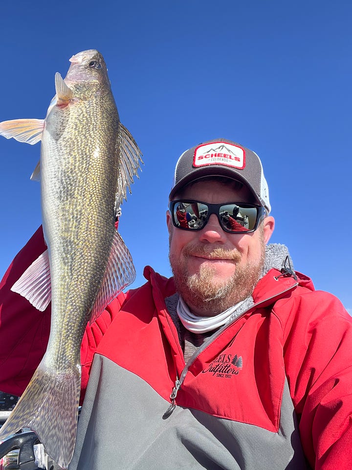 Colorado fishing - walleye, wiper, and white bass.