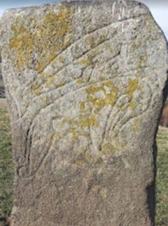 Pictish carvings with salmon