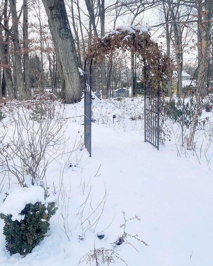 The entrance to the Primrose Path in the Woodland Garden: January and June