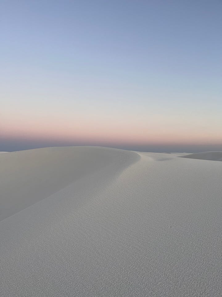 shaking with the trees in Grand Teton National Forest, skinny dipping in the icy water of Lake Tahoe, taking in the sunset over White Sands National Park and dancing with the flowers in Pacific Grove