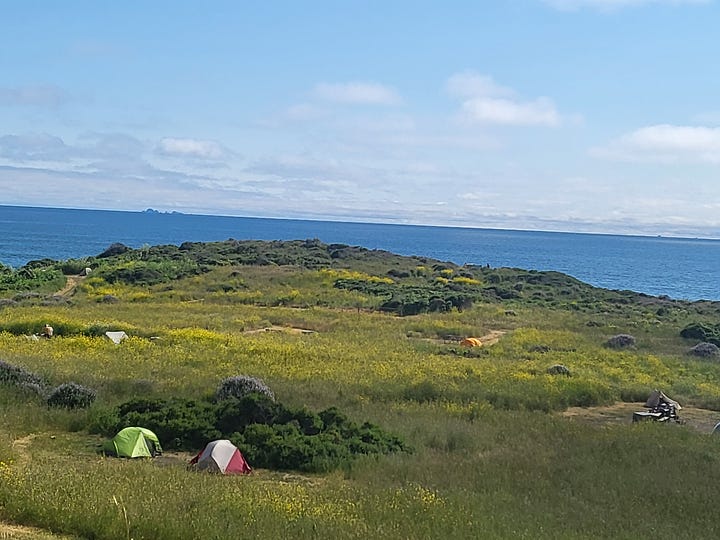 photos of trees, shoreline, and Melanie and John smiling with the rugged coastline behind them