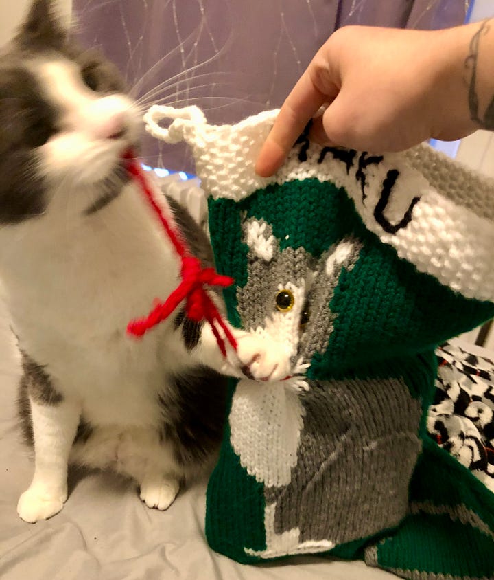 A green knitted Christmas stocking with a grey and white tuxedo cat with a red bow around its neck. It is held up next to a real grey and white tuxedo cat who, in the first photo, has his mouth open as if to bite the stocking, and in the second photo, is pulling at the red ribbon with his teeth.