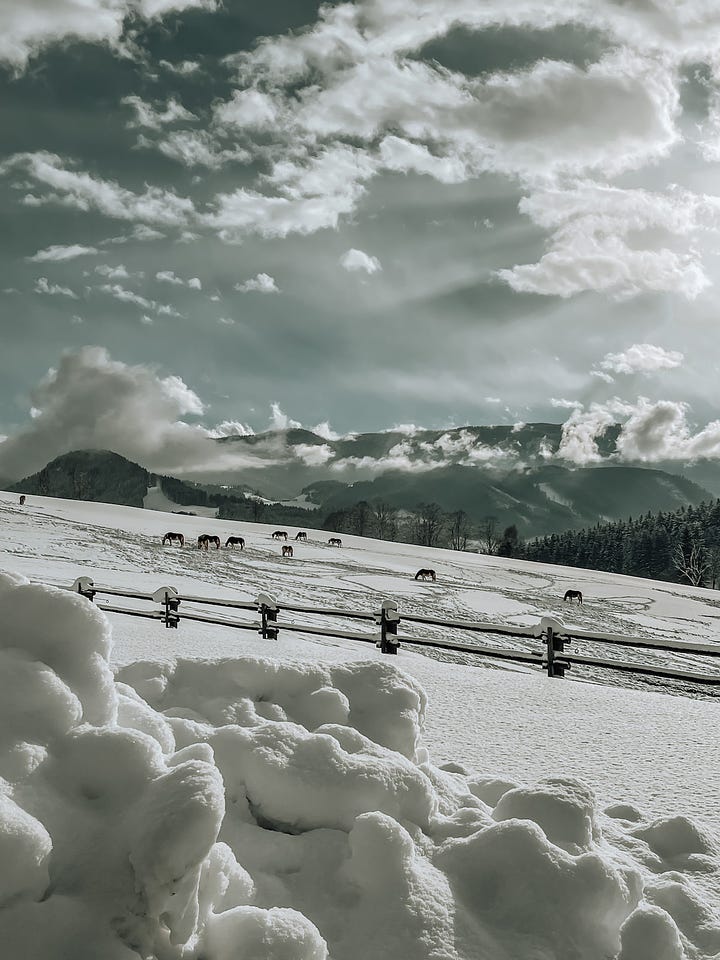 Winterwonderland in Salzburg 