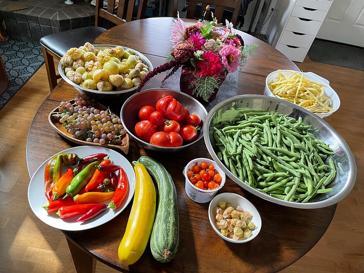 biochar garden produce
