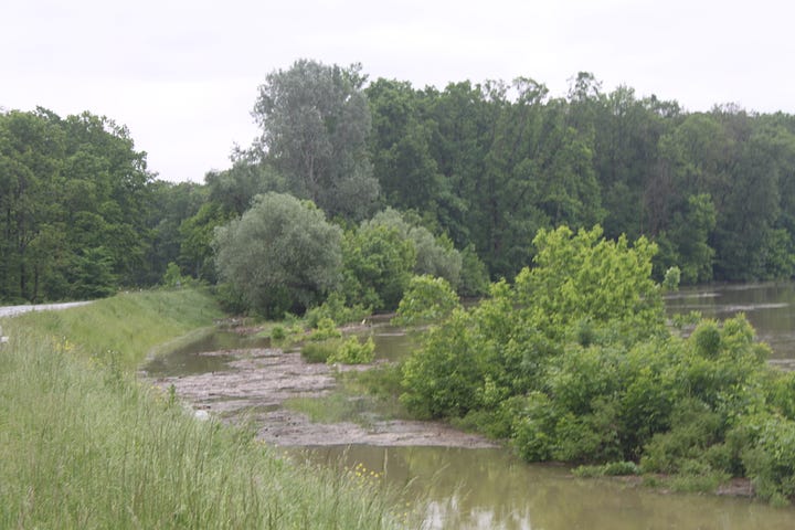 Pictures of flooded fields