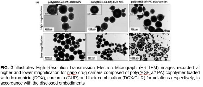 Metal-free Polyester Based Nano-drug Carrier