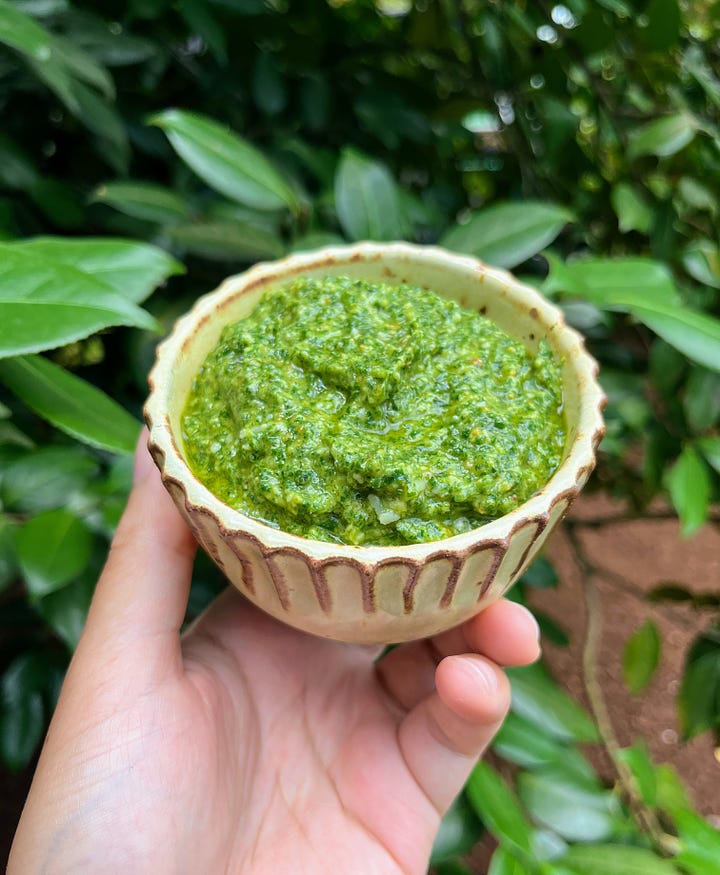 Blanched perilla, pesto ingredients in food processor, hand holding bowl of pesto, pesto pasta in a serving bowl