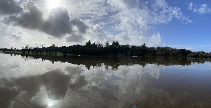 Views of the Laguna from a kayak