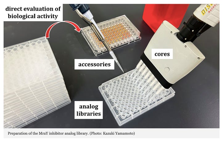 A Comprehensive Derivative Synthesis Method for Development of New Antimicrobial Drugs