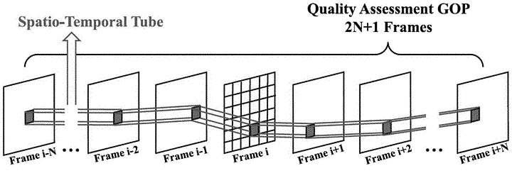 Video Quality Determination System And Method