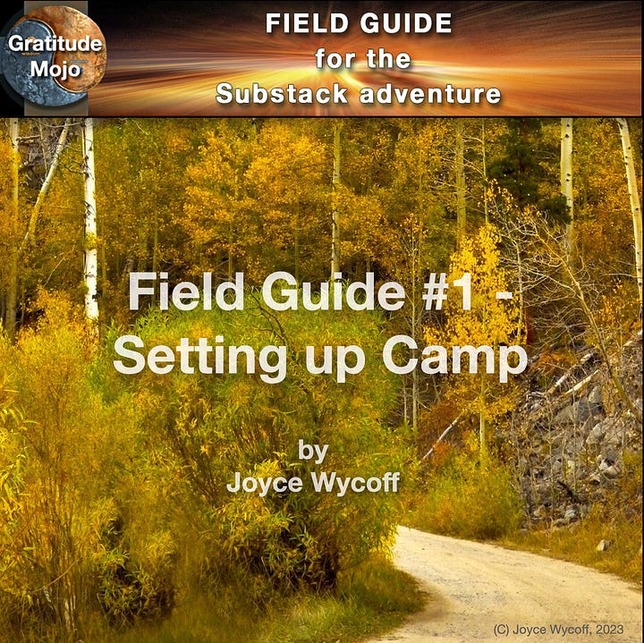 Substack Field Guide #1 and #2