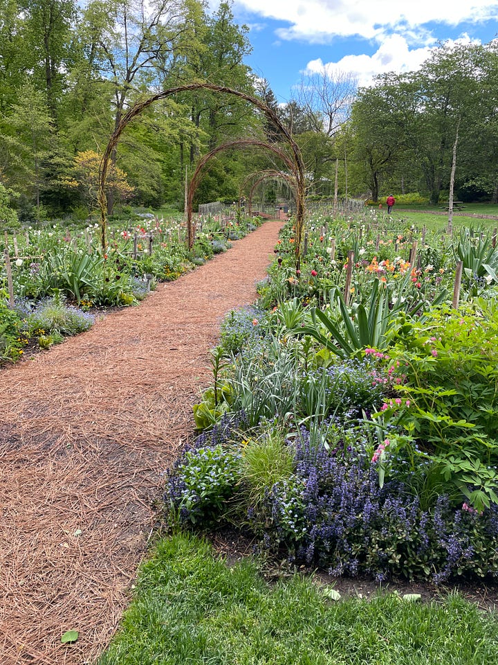 The Cutting Garden at Chanticleer. Photos by Julie Witmer