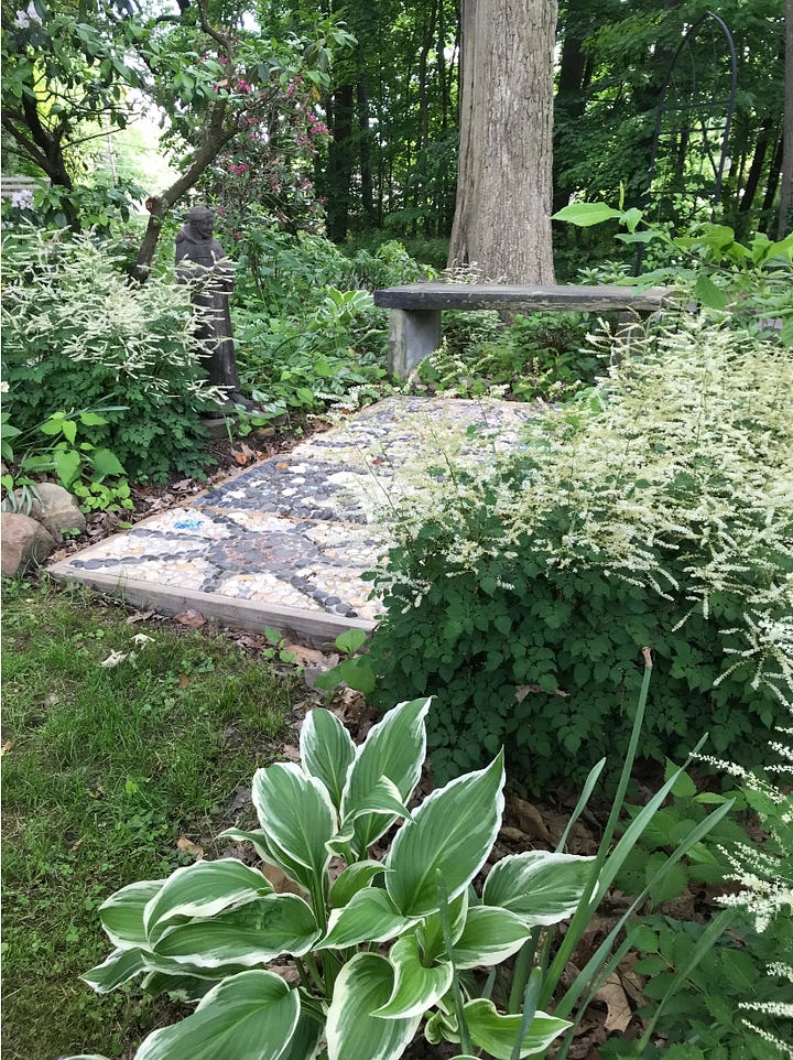 White Goat's Beard (Aruncus dioicus) and white variegated Hosta around St Francis' garden