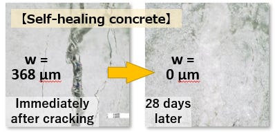 Development of Functional Concrete