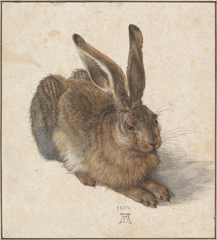 16th century painting of a hare by albrecht durer; a blue robed woman, the virgin mary, kneeling with others, her hands on a white rabbit, painted by Titian, also 16th century