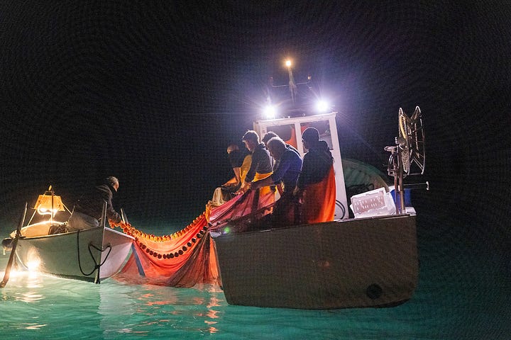 Fishing for anchovies at night in the Cilento