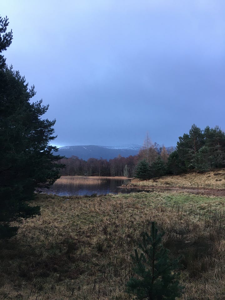 Images: 1. Loch an Eilein with the castle shadowed just off centre; 2-3. Lochan Mor as the drizzle came; 4. one of The Lochans with icy edges.