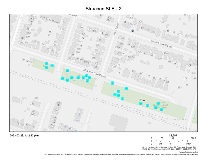 Aerial and outline maps showing the places where City staff is planning to replant trees along Strachan Street East