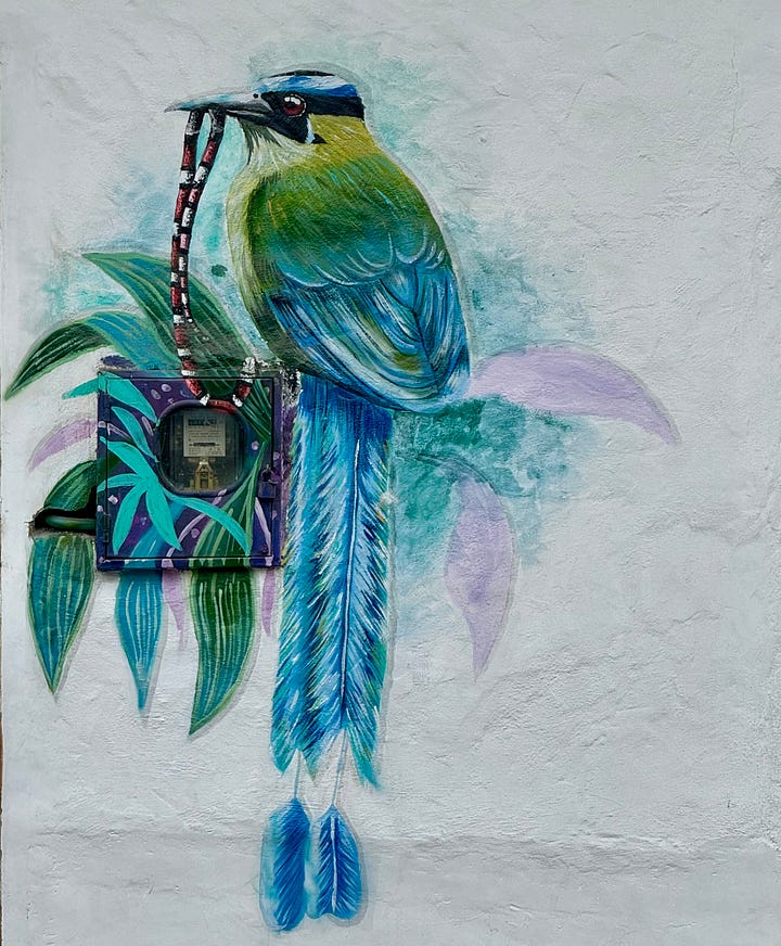 Pinturas de aves decorando los contadores eléctricos en San Agustín, Huila. Foto propia.