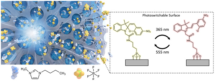 Polymeric Nanomaterials Under Nanoconfinement for the Development of Light-Responsive Electronics