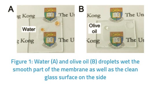 Novel Omniphobic Porous Membranes and Coatings