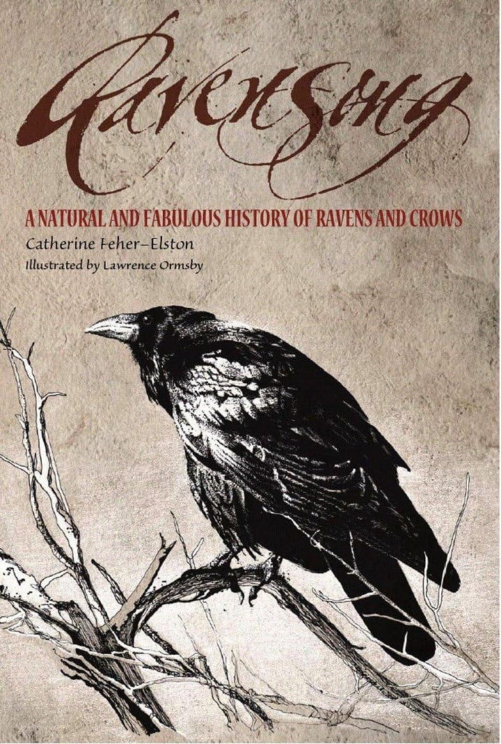 left, old icelandic drawing of Odin and two ravens' right, picture of a raven on a book