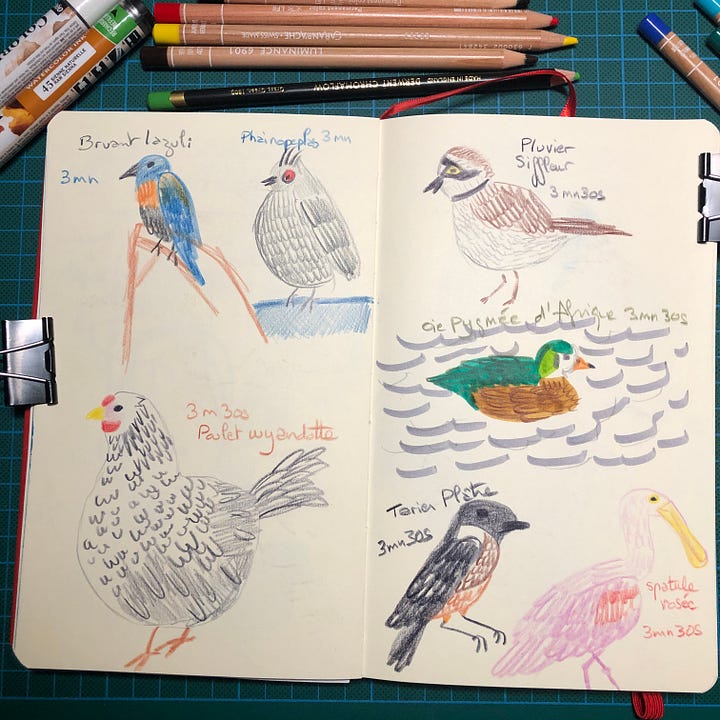 Photos des doubles pages de mon sketchbook où j’ai dessiné les oiseaux aux crayons de couleurs, crayon graphite et parfois un peu de marqueurs aquarelle. A côté de chaque dessin est noté le nom de l’oiseau et le temps consacré au dessin.