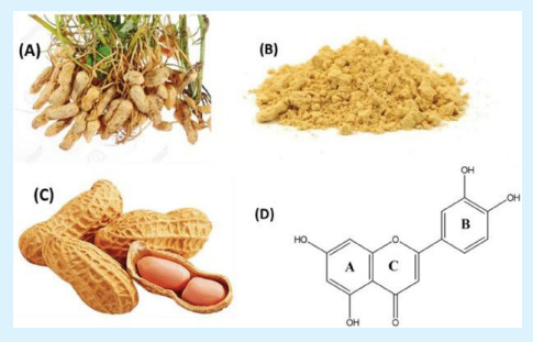 Development of a New Multifunctional Natural Textile Dye from Peanut Shell Extract