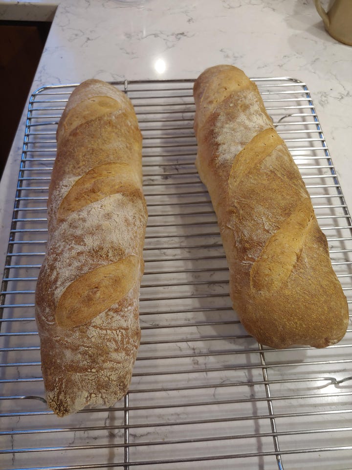 Image description: loaves of bread. They all look pretty good. But they could be better.