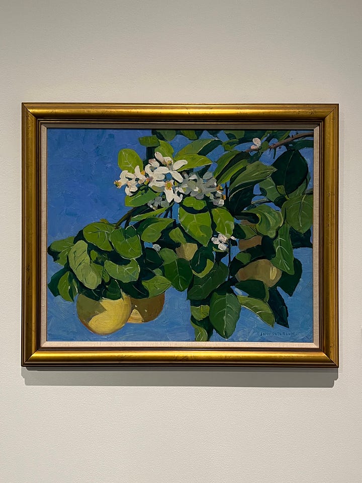 An oil painting of a flowering grapefruit tree, with green shaded leaves and ripening fruits against a blue sky.