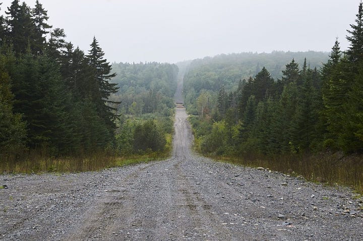 The gravel road alleviates many ills - it connects nature and lowers usage and pollution levels