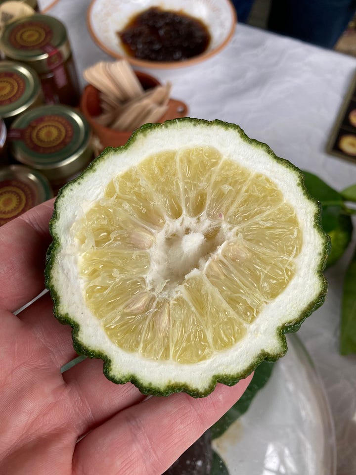 Images taken of pompia, a knobbly, round green fruit; some jars containing pompia marmalde and the mother and son team who make the product.