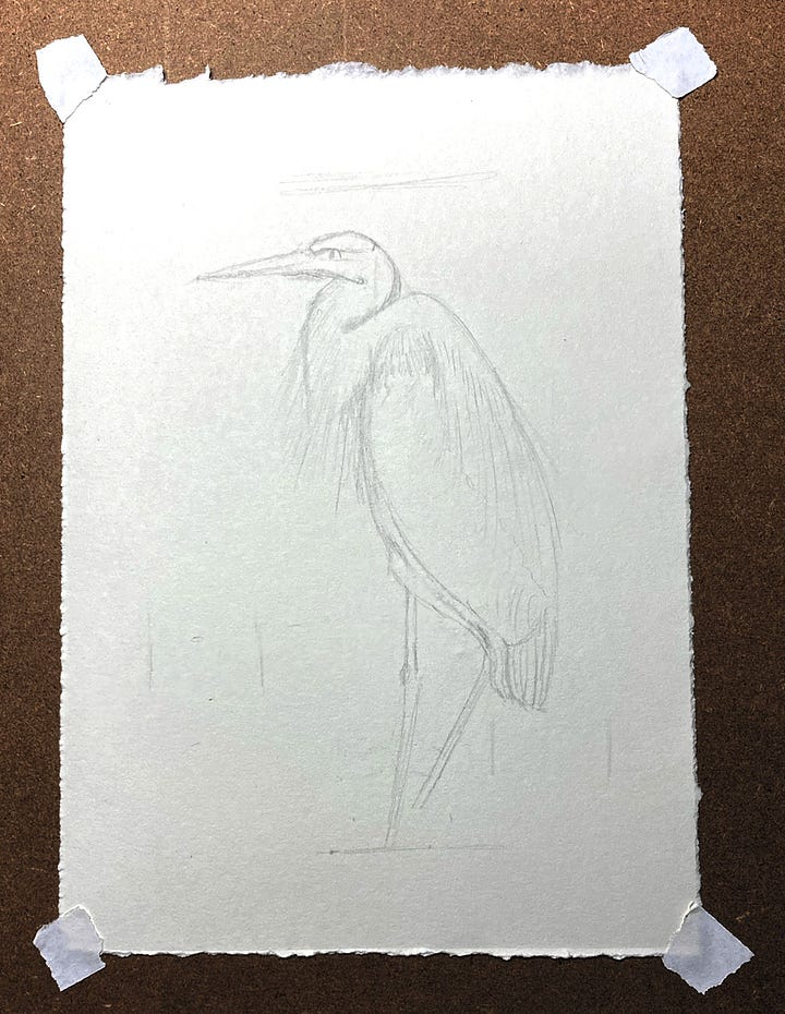 Two pencil sketches of a heron and a mushroom with ladybug