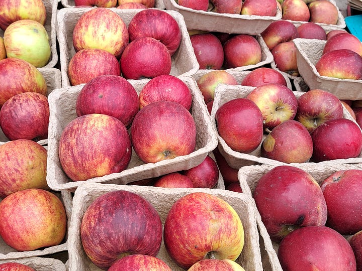 In season January; spider crabs, whelks, purple sprouting broccoli, stored apples, Jerusalem Artichokes