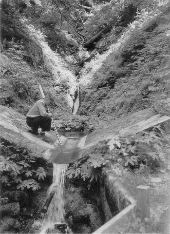 logged off land, a man working with instruments on land and in stream, man on hillside preparing to replant