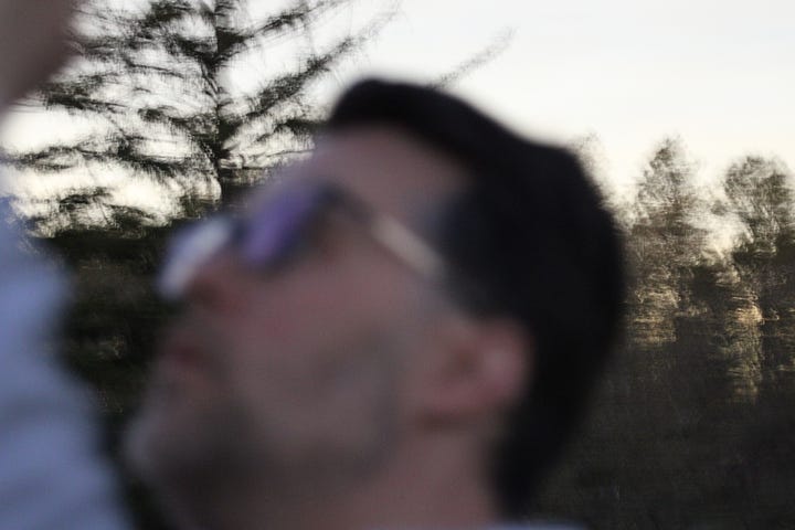 A fish swimming in shallow water, a bird sitting atop a tree, a distant photo of the moment of totality in a solar eclipse, a blurry photo of a man looking up at the sky