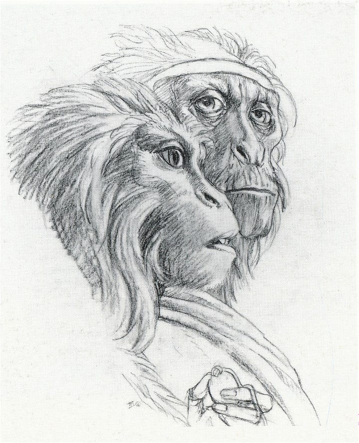 LEFT: Detailed pencil study for THE NEW SPRINGTIME featuring the pair of ape-like humanoids. The elder male turns his wrinkled face thoughtfully toward the audience. The younger female glances off-panel right while delicately holding a simple round pendant in her long fingers. RIGHT: Four pencil sketches for THE NEW SPRINGTIME. UPPER LEFT: An ape-like humanoid kneels while holding up a sphere. UPPER RIGHT: An ape-like female sits facing forward with knees out and one hand grasping her foot. LOWER LEFT: An ape-like female in profile. her face is rendered in detail but her body is a loose outline. Below, rendered in detail, another female is seated with knees out and hands in front as she leans forward. LOWER RIGHT: The older ape-like male holds out a sphere in the palm of its hand. Loosely renders in the same panel upper right is a pair of figures staring right. The male is in front in this sketch.