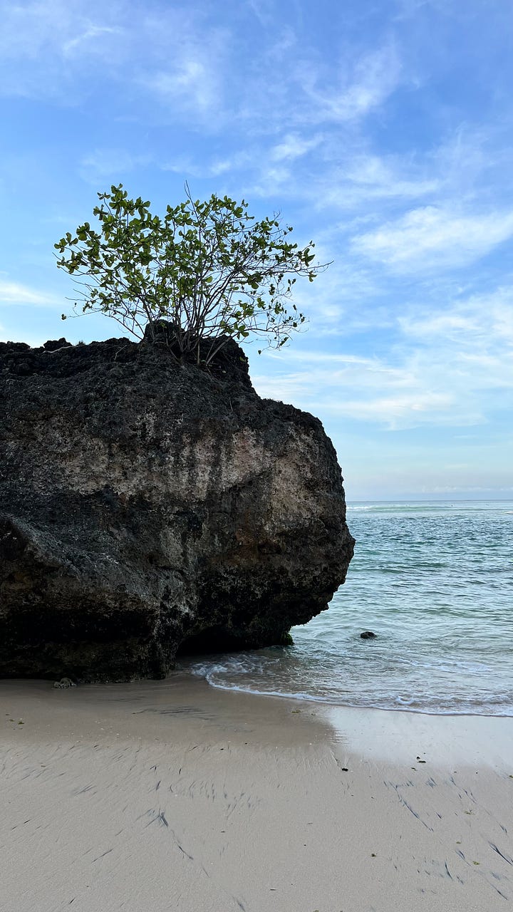 Image of a Bali beach and of an ugly alley leading to that beach