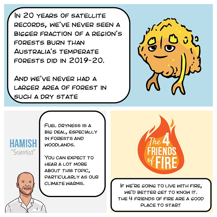 Comic strip about Black Summer fuel dryness