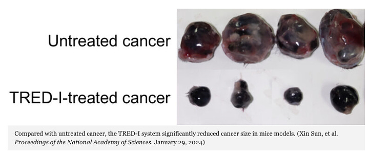 New Technology Makes Cancer Easier for Immune System to Find and Destroy