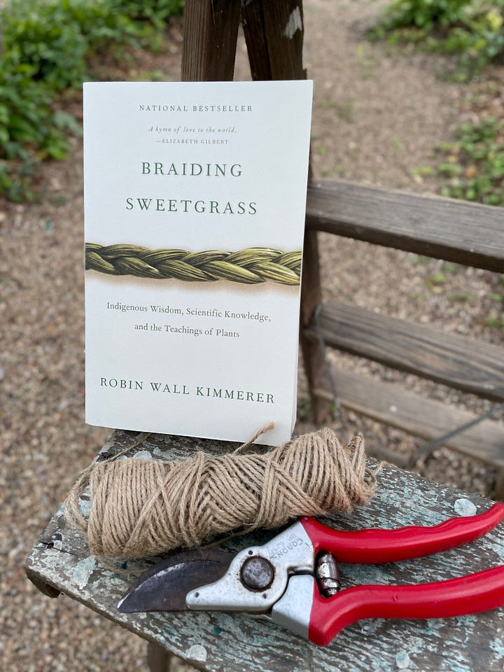 Tools of the trade in the Fruit Tunnl: my wooden ladder, hand pruners, twine to tie in, and Braiding Sweetgrass on audiobook.