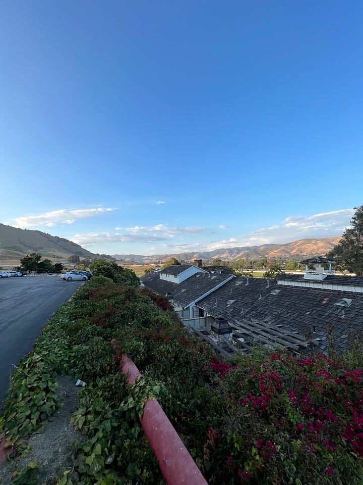 A collection of images from California's central coast, including a view from the Madonna Inn in San Luis Obispo, the seashore, flowers overlooking the water, and a building-sized rock covered with birds.